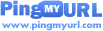 Ping Website